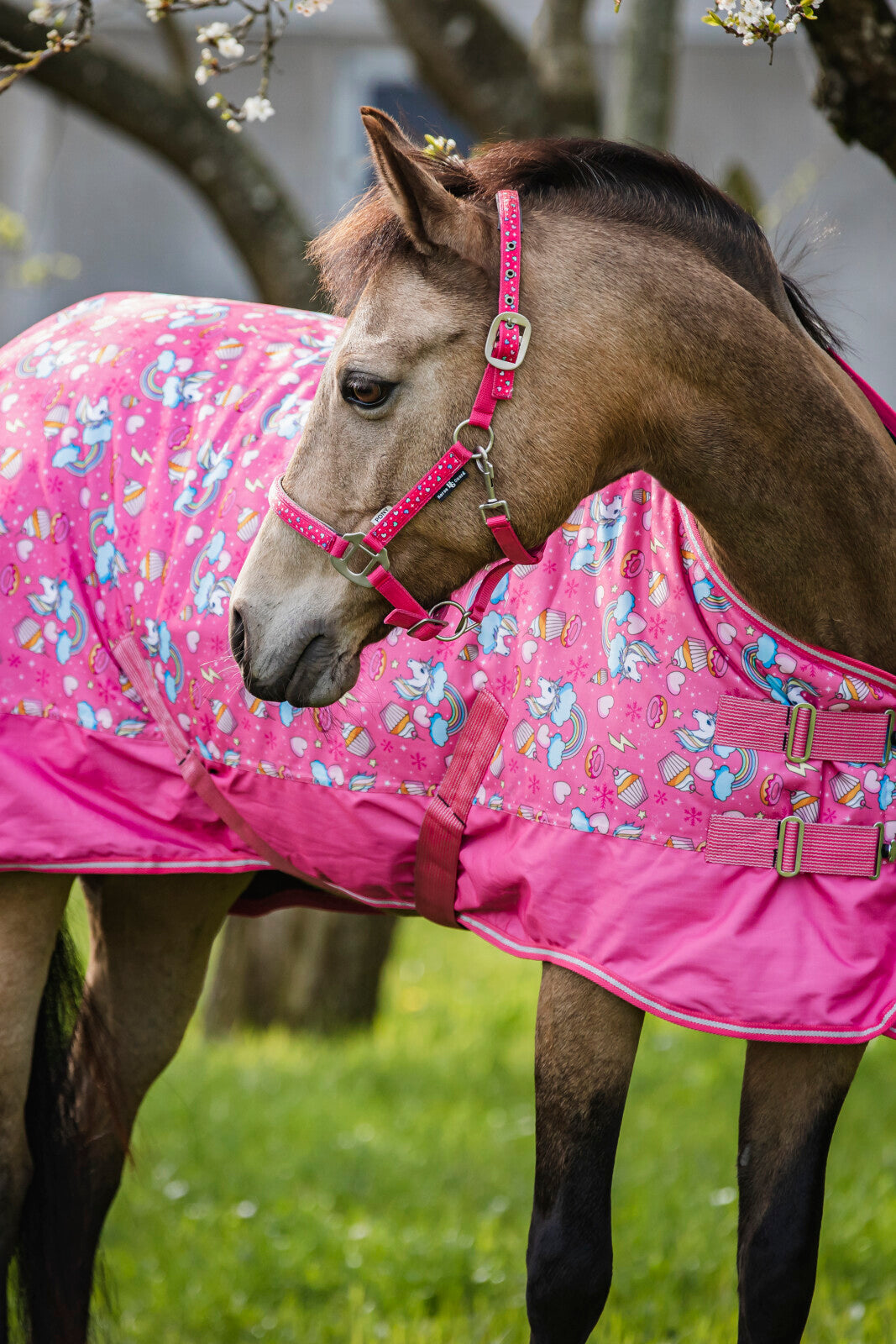 HorseGuard Love halter
