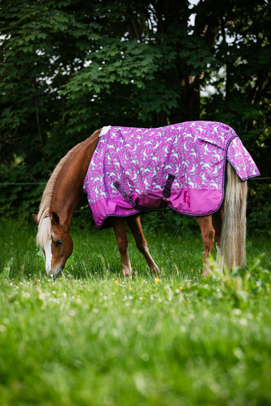 HorseGuard Josh Unicorn Turnout täcke 600D 0g