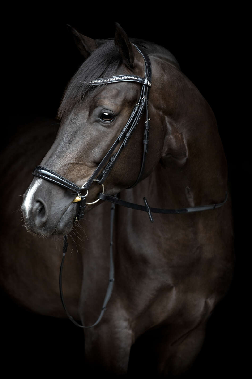 HorseGuard Cryll 24.1 bridle with drop noseband