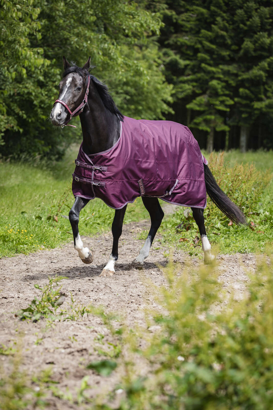 Horse Guard Landon 1200D turnout rug, standard neck, 0g
