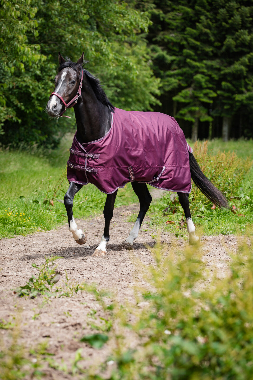 HorseGuard Landon 1200D rug, standard neck, 0g