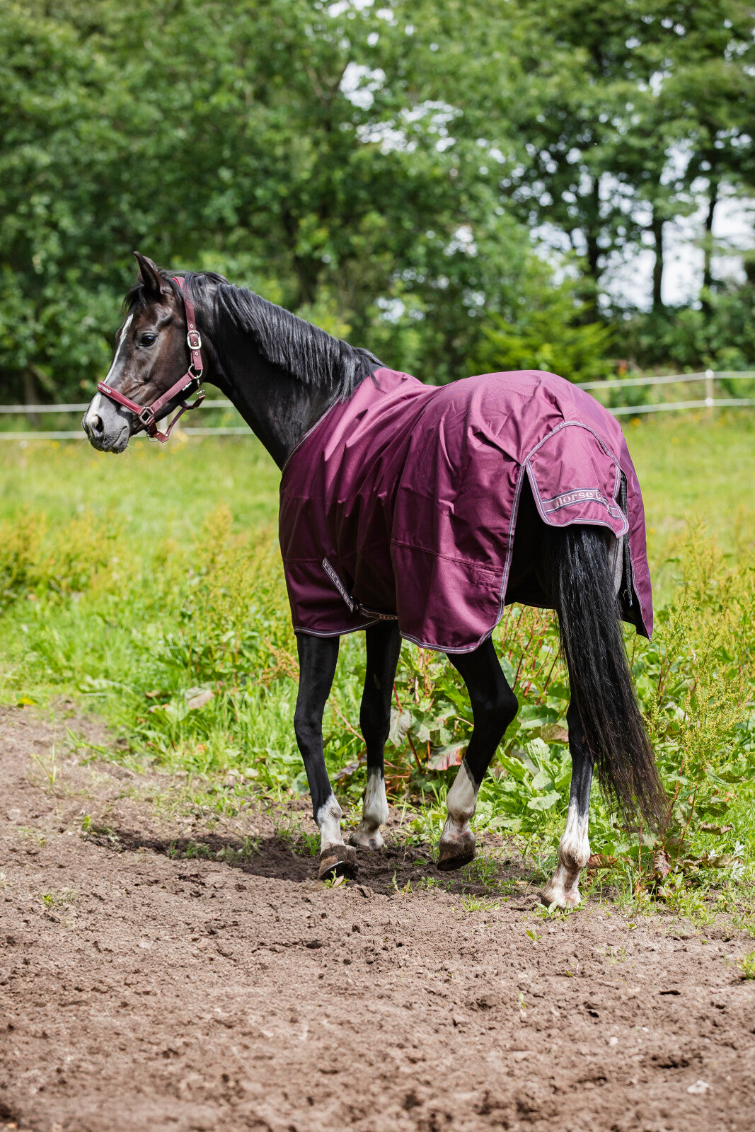 HorseGuard Landon 1200D rug, standard neck, 0g