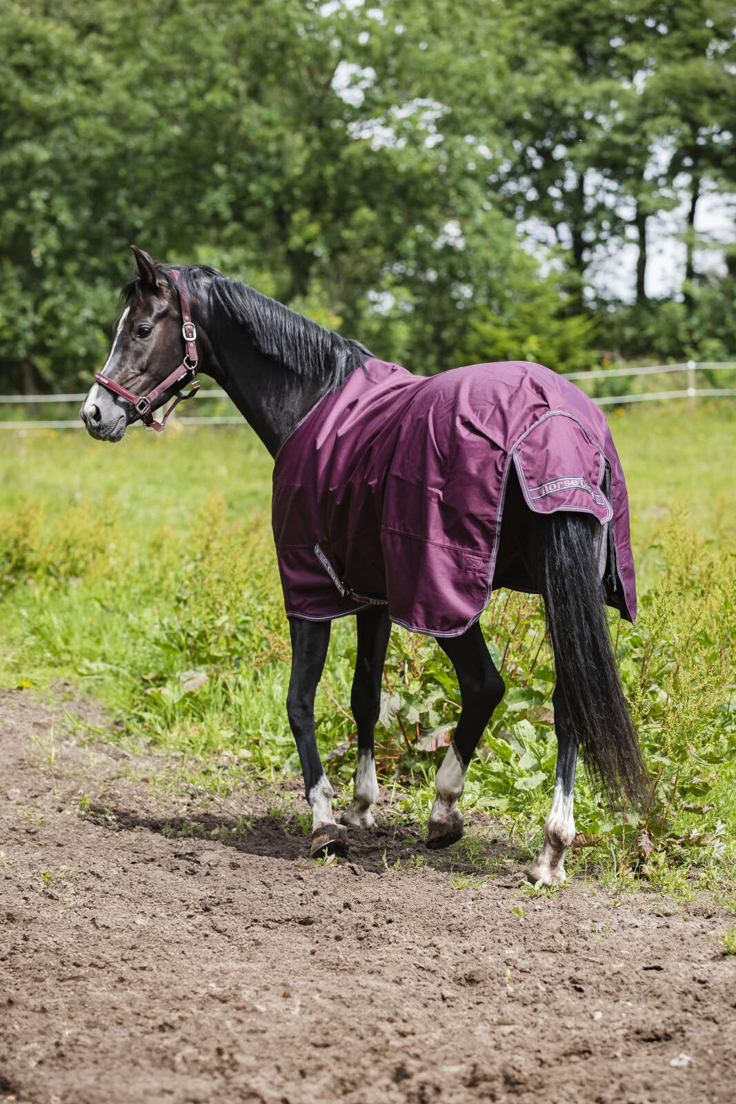 Horse Guard Landon 1200D turnout rug, standard neck, 0g