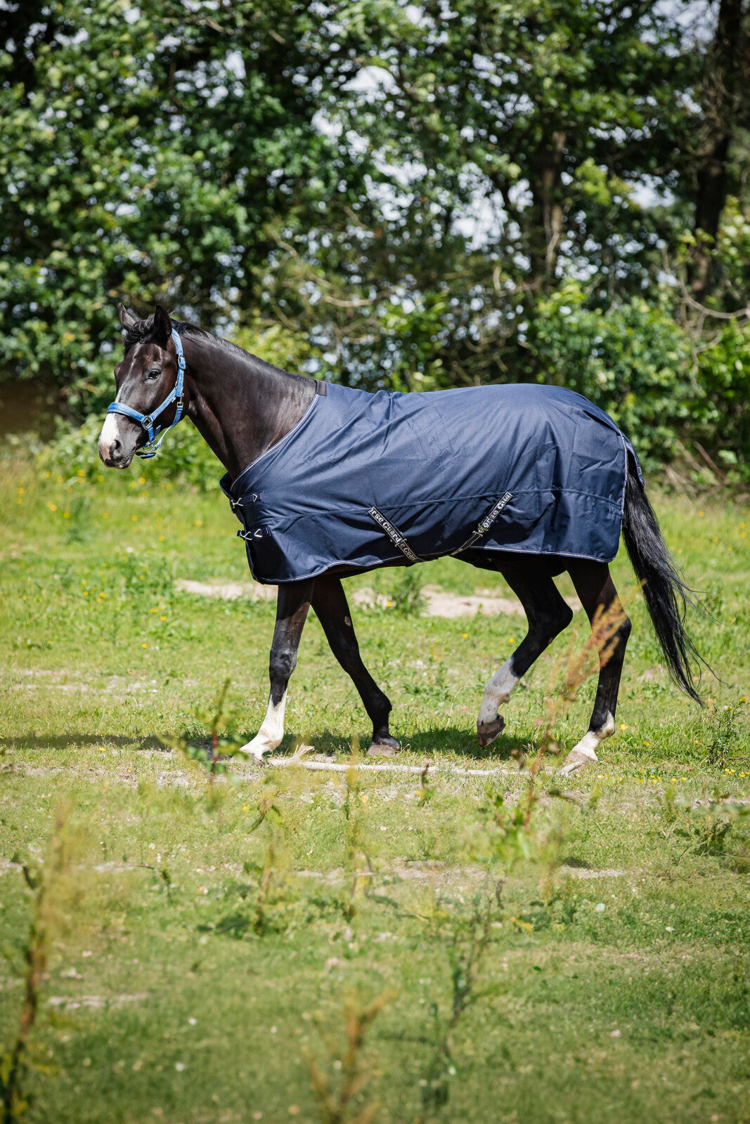 Horse Guard Landon 1200D Turnout rug, standard neck, 200g