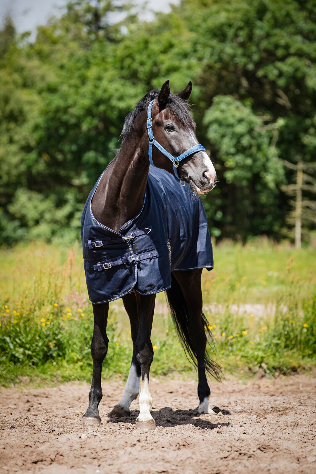 HorseGuard Landon 1200D Turnout täcke 100g