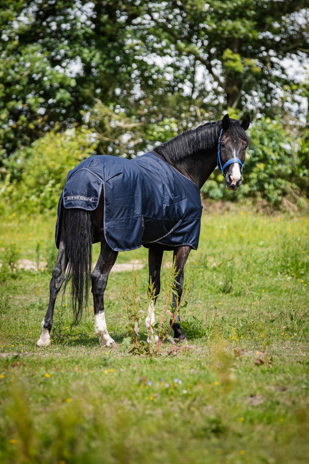 Horse Guard Landon 1200D Turnout rug, standard neck, 200g