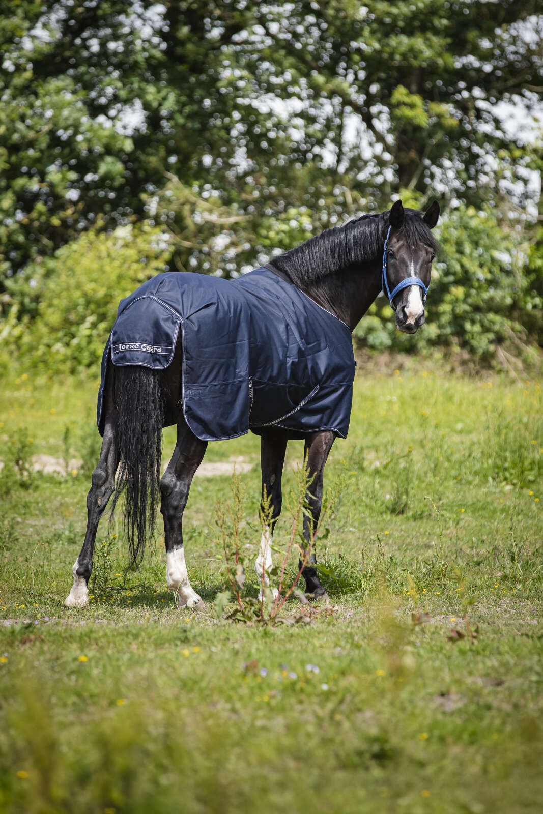 Horse Guard Landon 1200D Turnout Decke, Standardhals, 100g