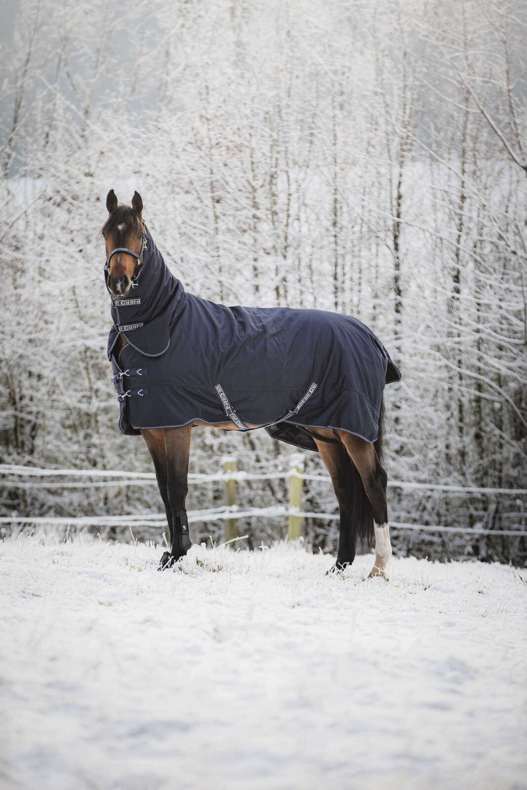 Horse Guard Lynn 1200D Combo vinterdekken, 400 g