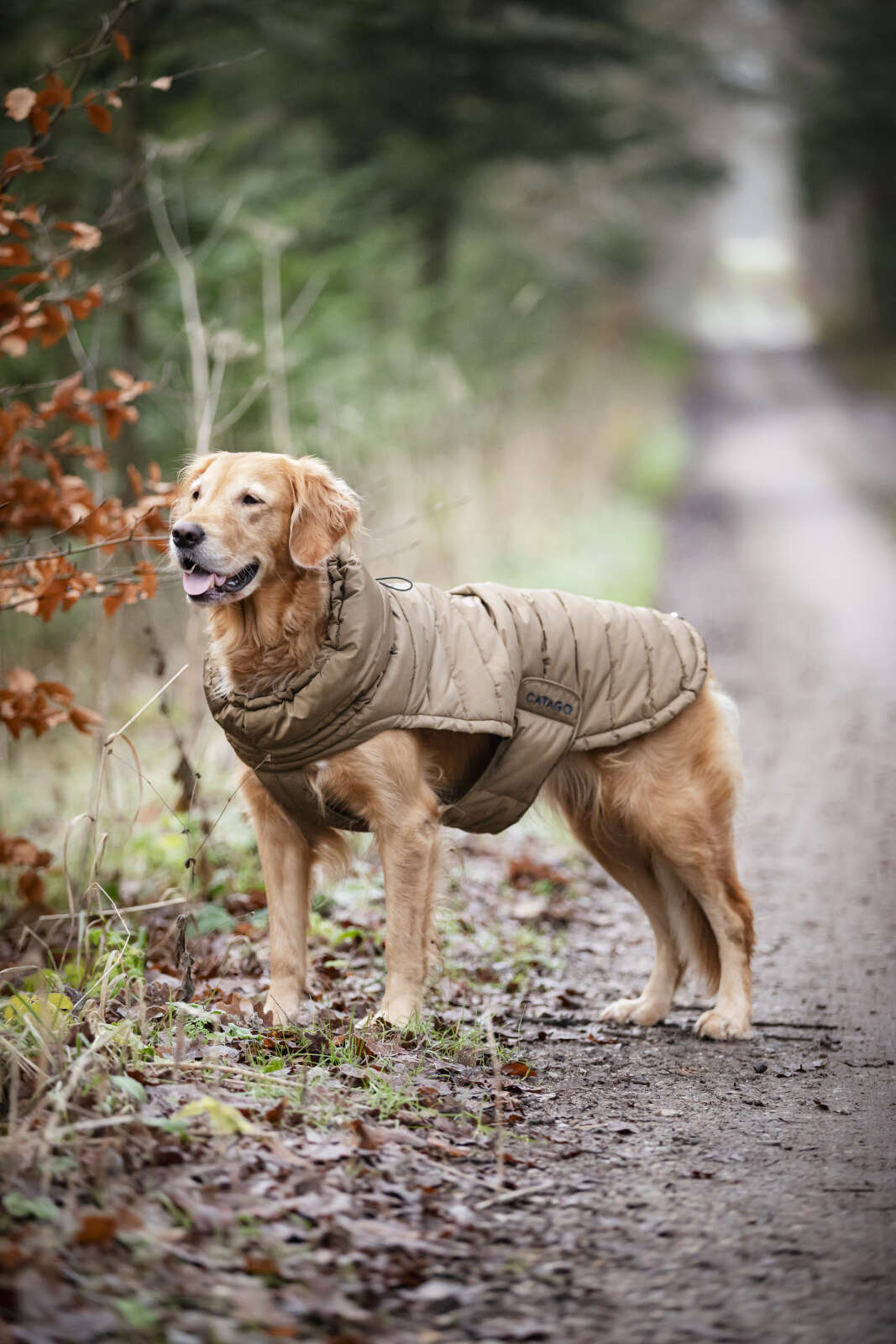 CATAGO FIR-Tech puffer hundedækken