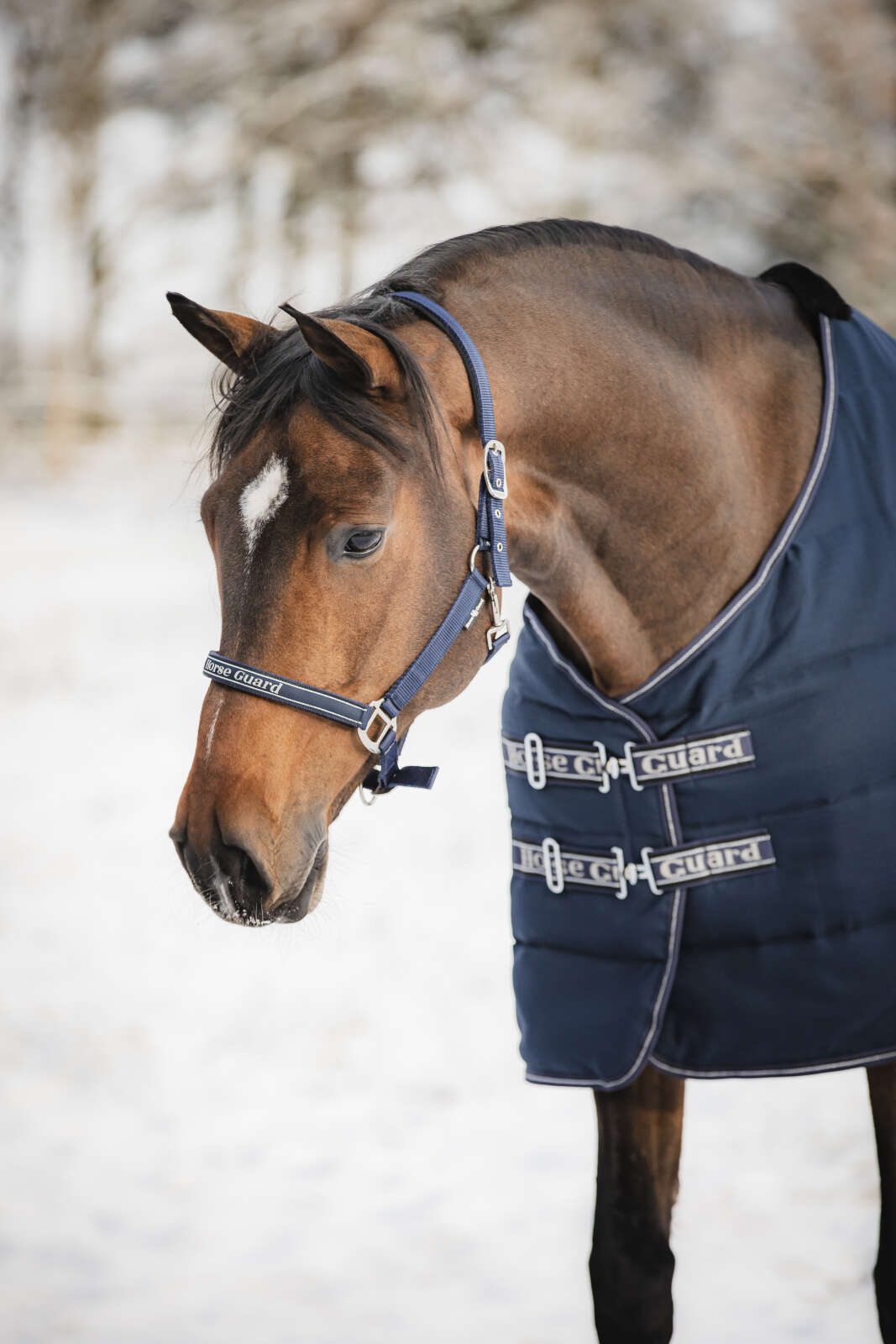 HorseGuard Sophie 600D Stalddækken 100g