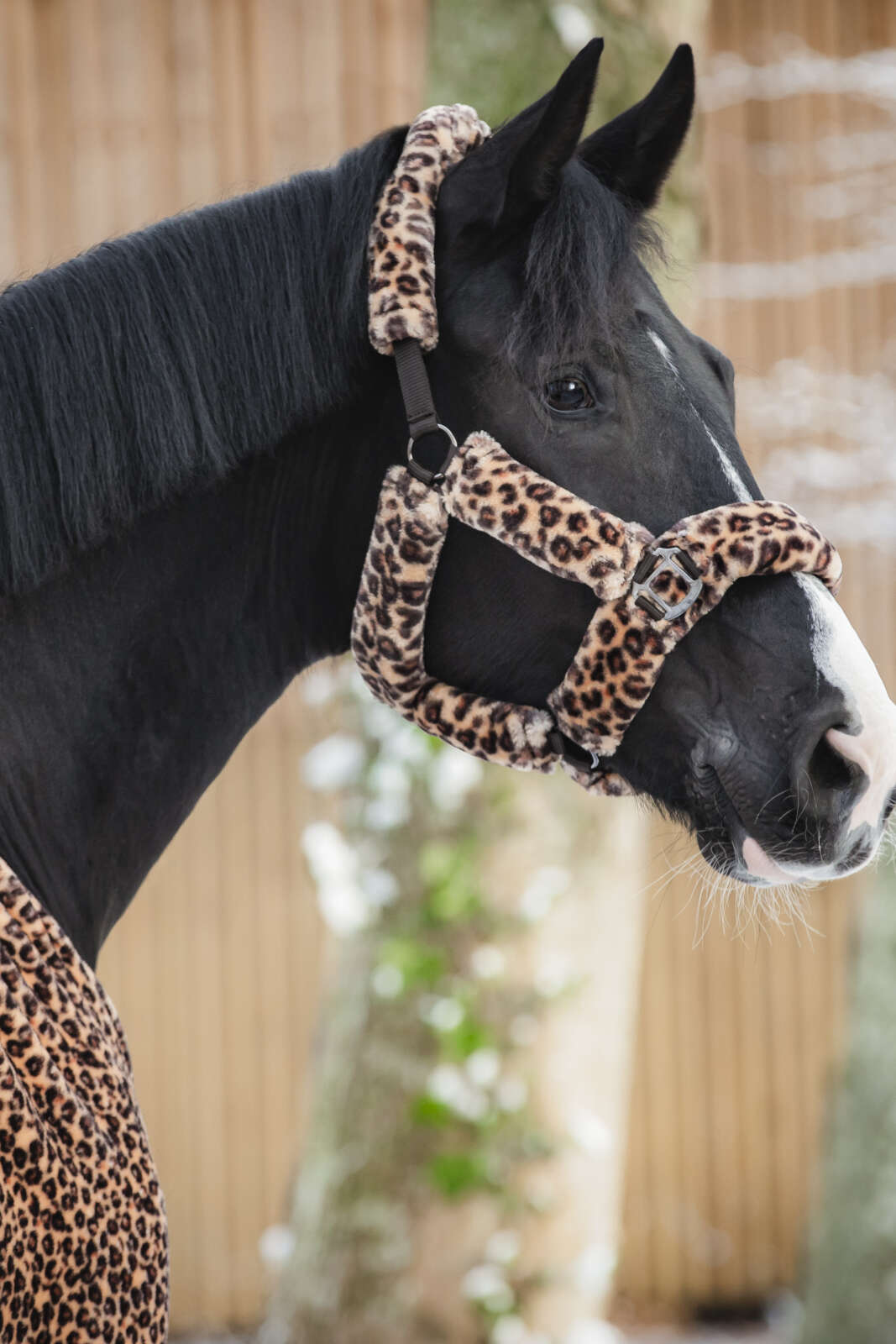 HorseGuard Leopard grime
