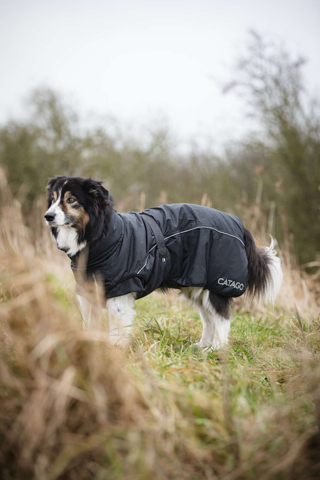 CATAGO FIR-Tech Vinter hundedækken