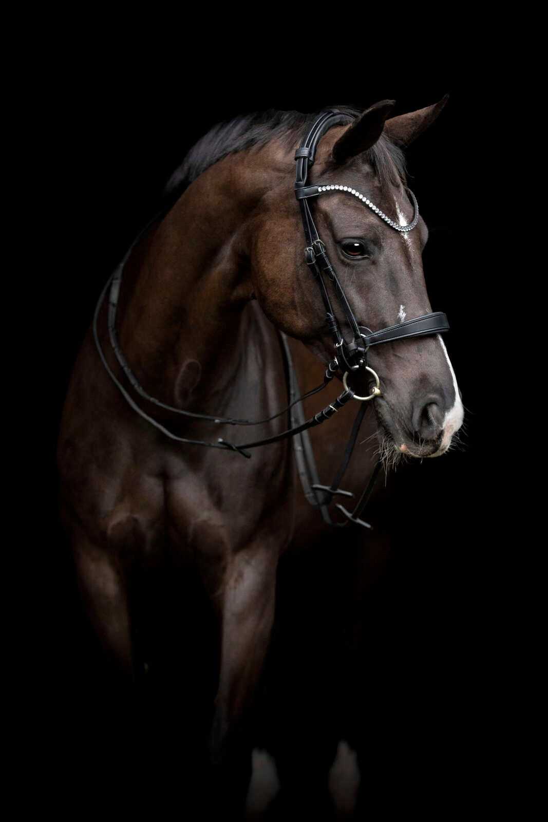 CATAGO Gentle sidostycken