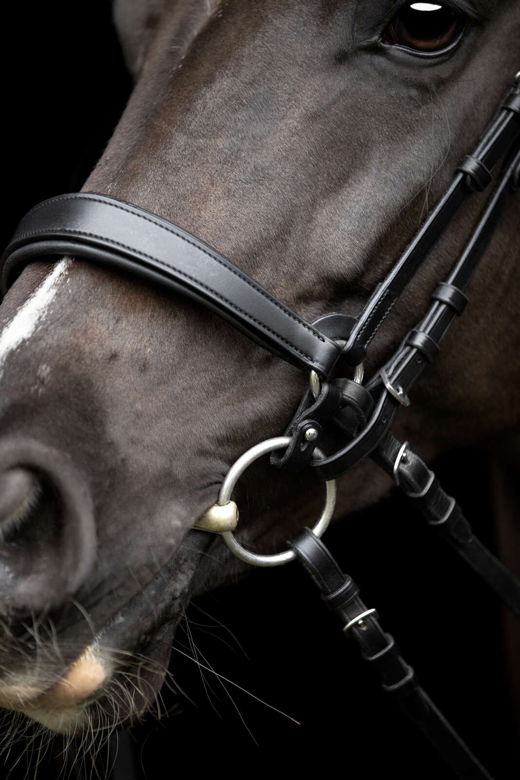 Catago Gentle kopplingsringar