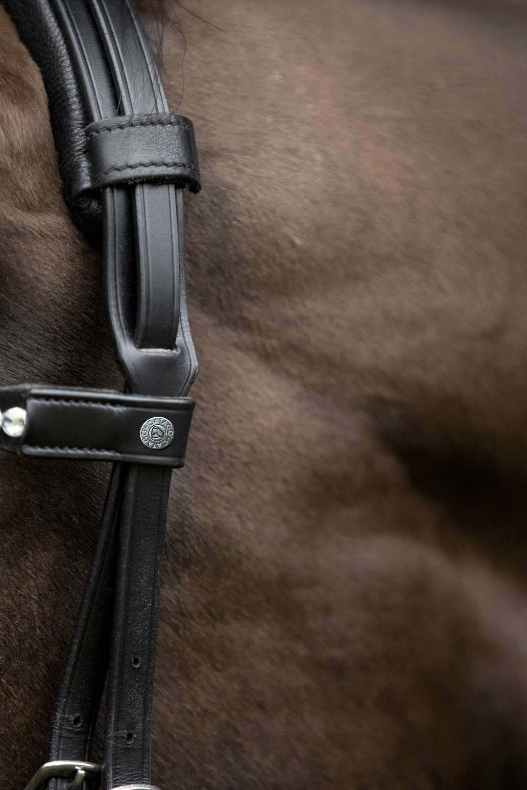 Catago Gentle nackstycke med vaddering