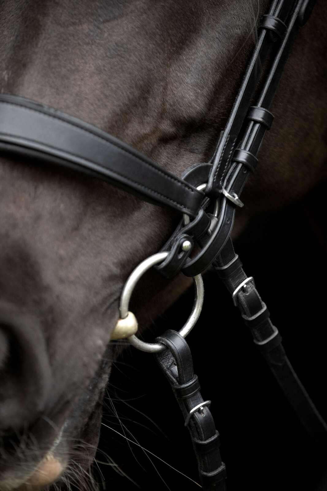 Catago Gentle kopplingsringar