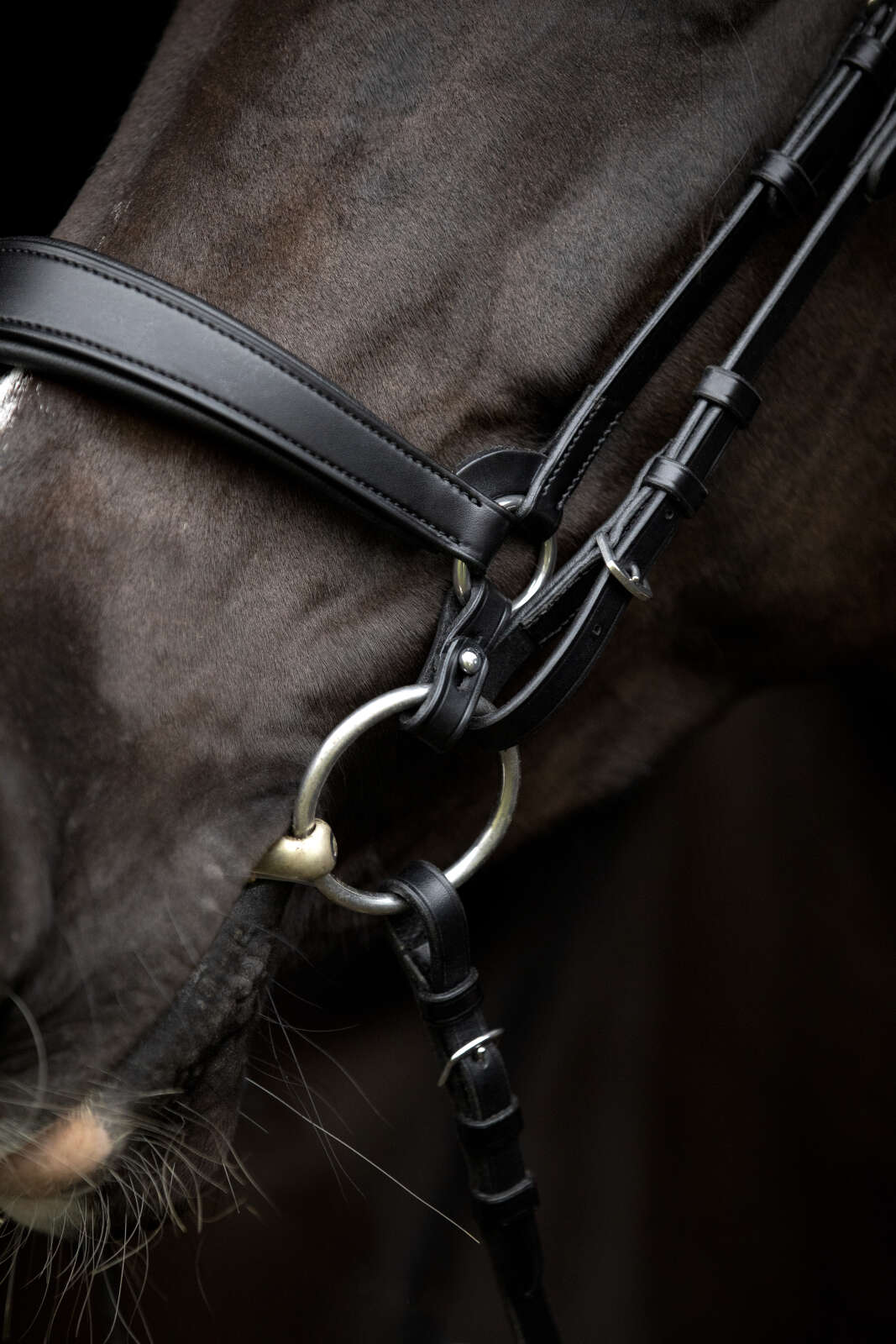 Catago Gentle kopplingsringar