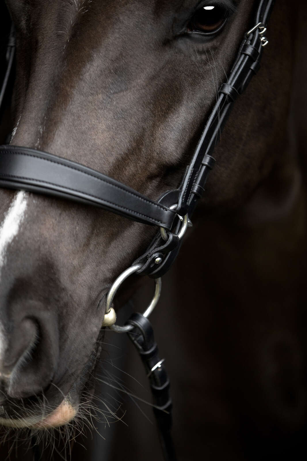 Catago Gentle kopplingsringar