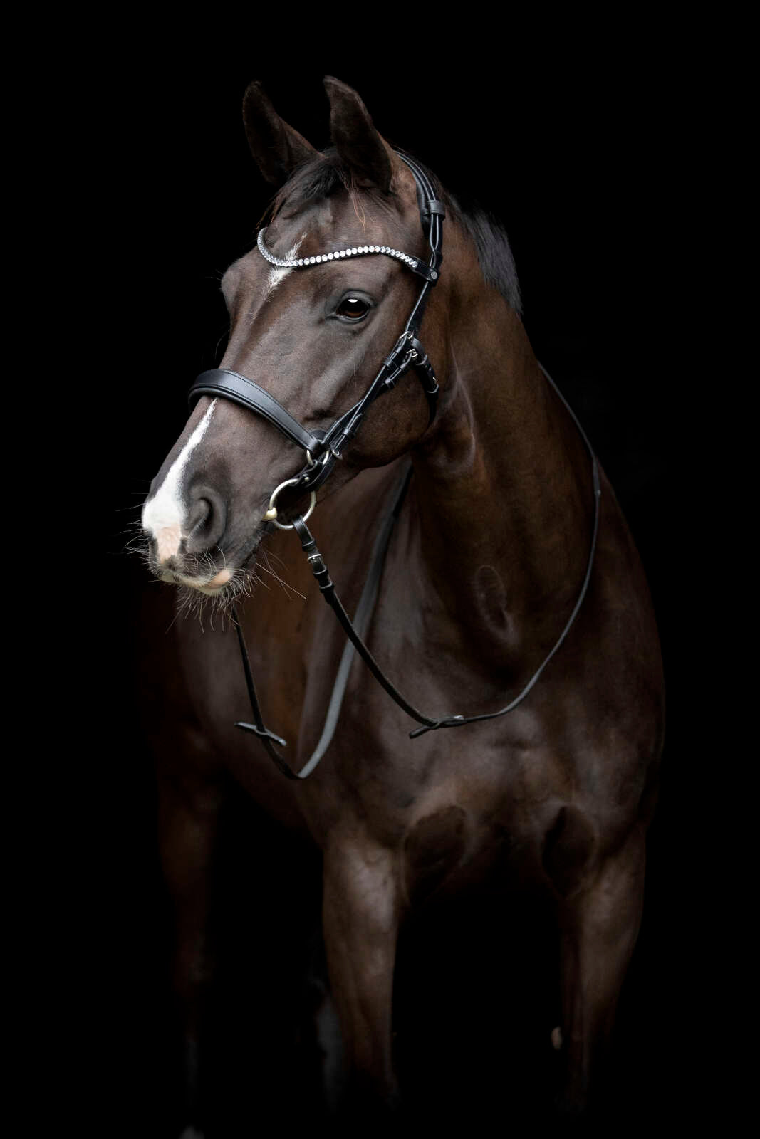 Catago Gentle käkrem
