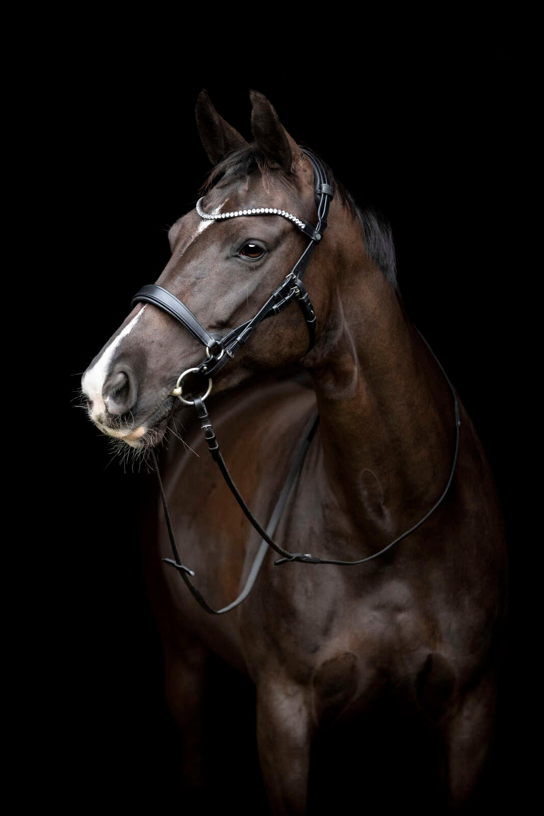 Catago Gentle käkrem