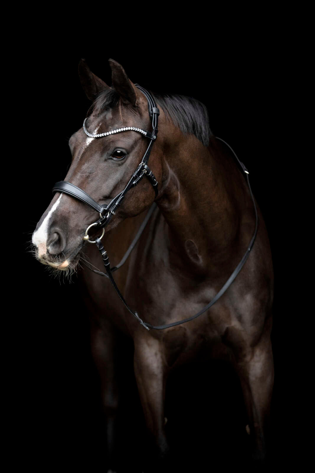 Catago Gentle käkrem
