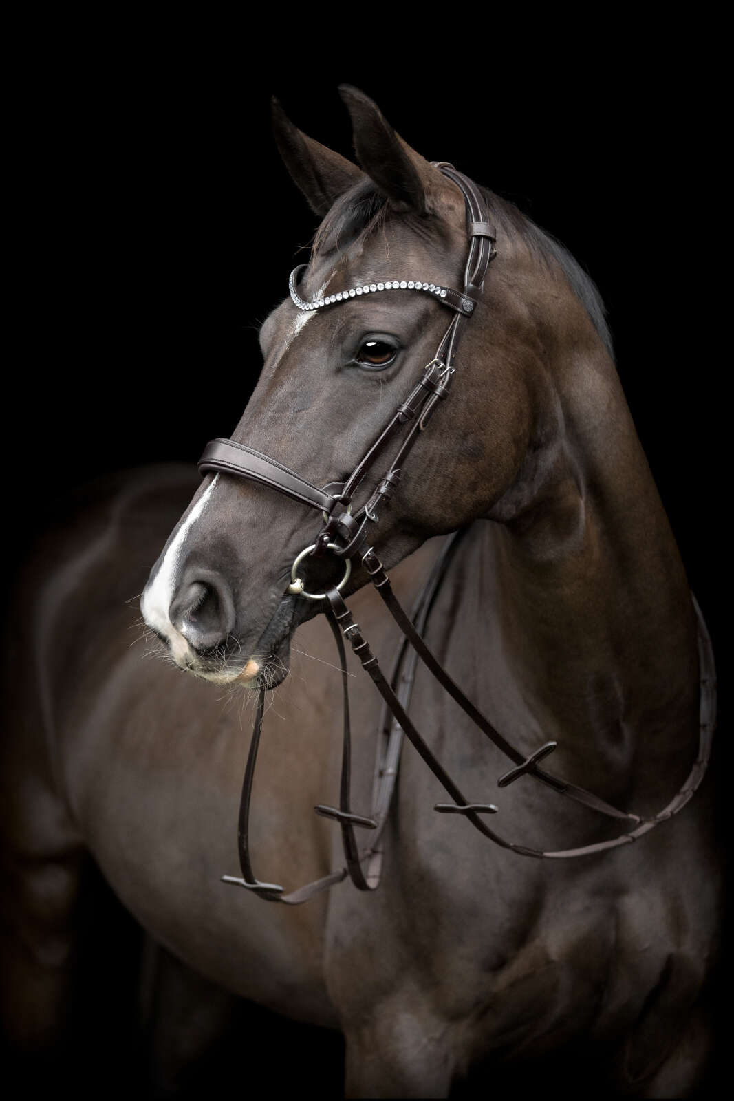 CATAGO Gentle sidostycken