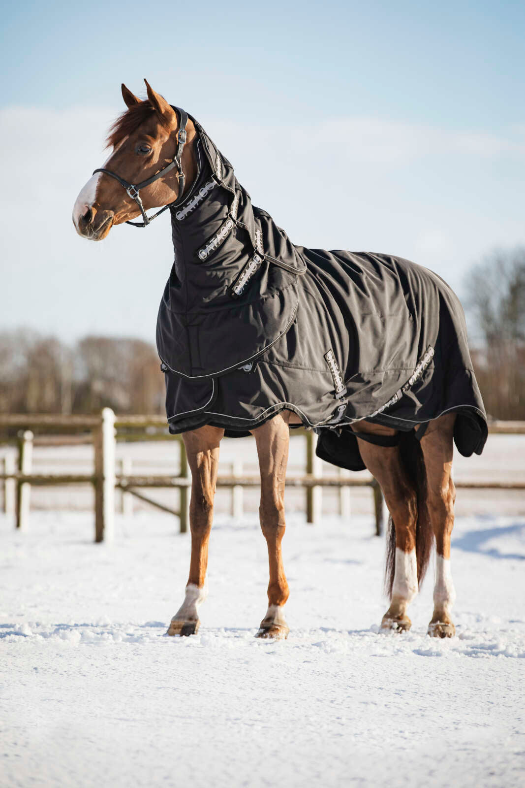 CATAGO FIR-Tech Compound Halsdel 200g