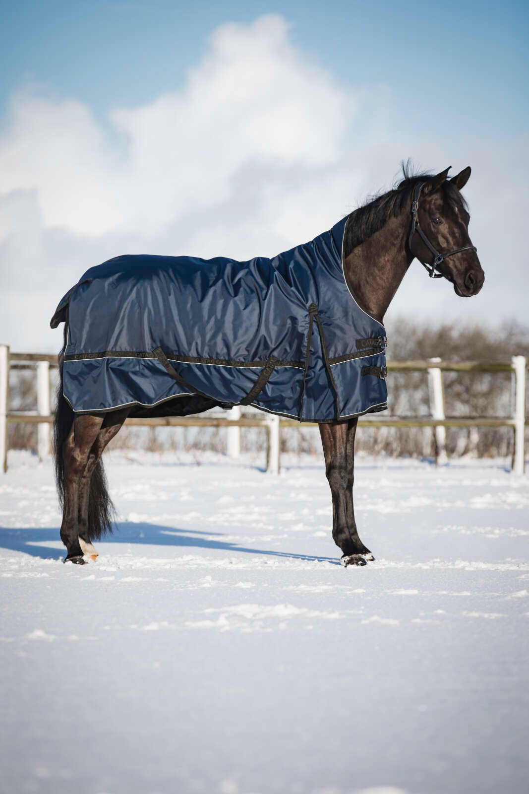 Catago Barlow 840D turnout-dækken 150g