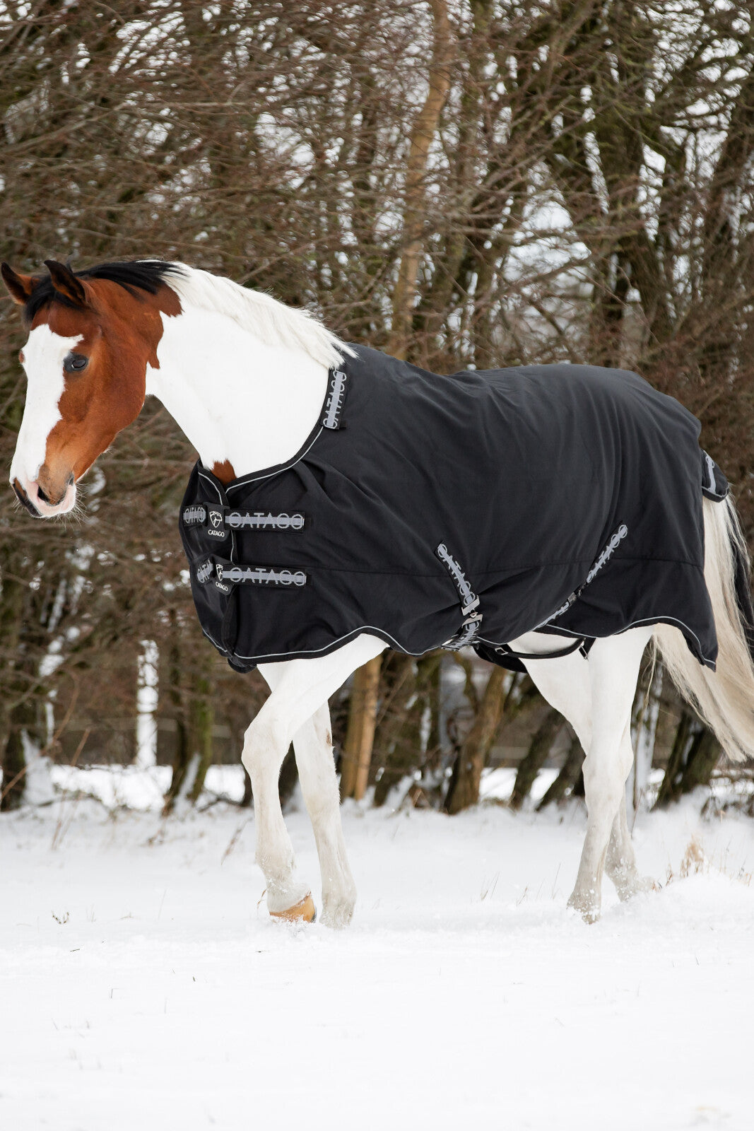CATAGO FIR-Tech Compound 1680D turnout rug 0g