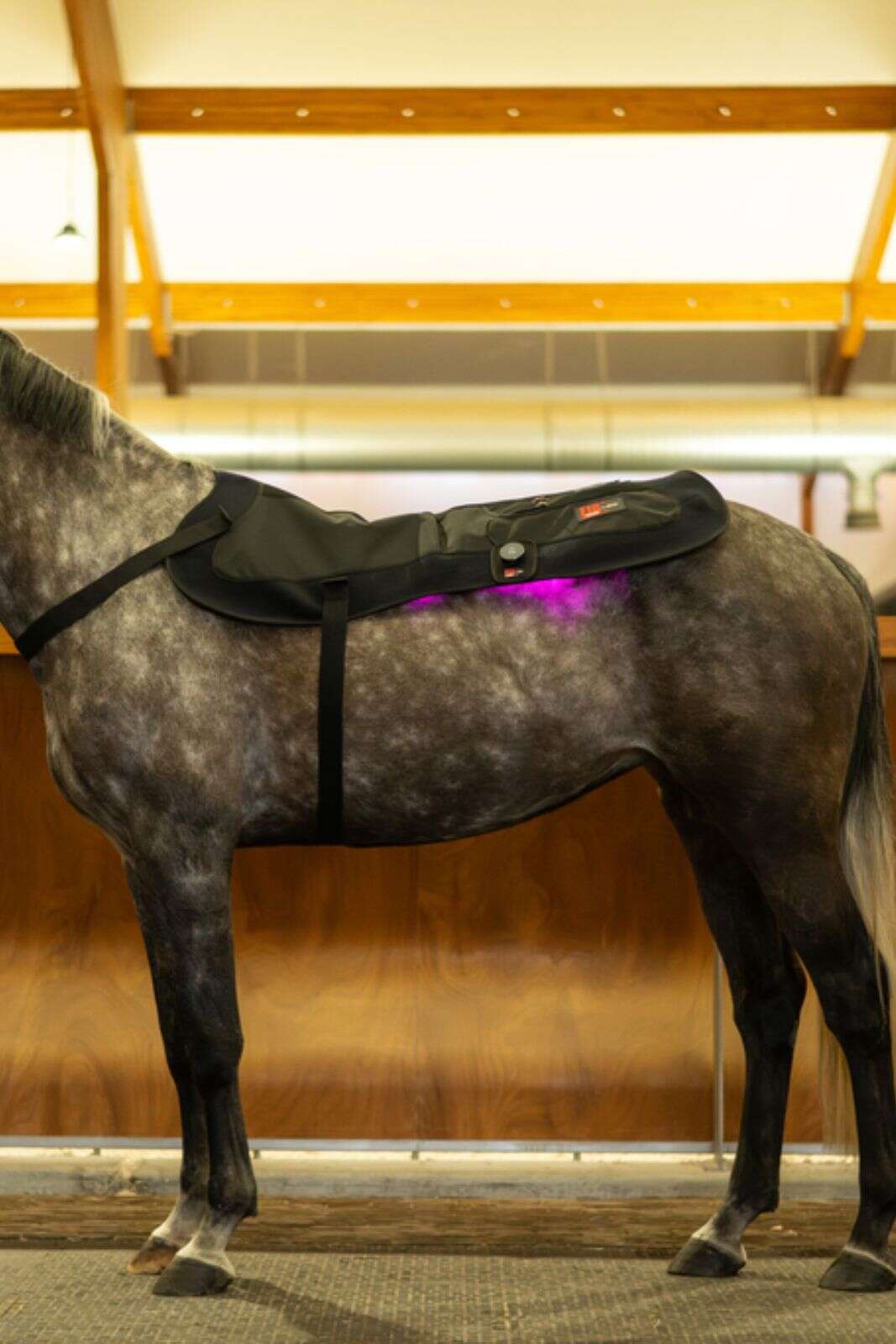 CATAGO FIR-Tech LED therapy pad X84, 115 x 74cm