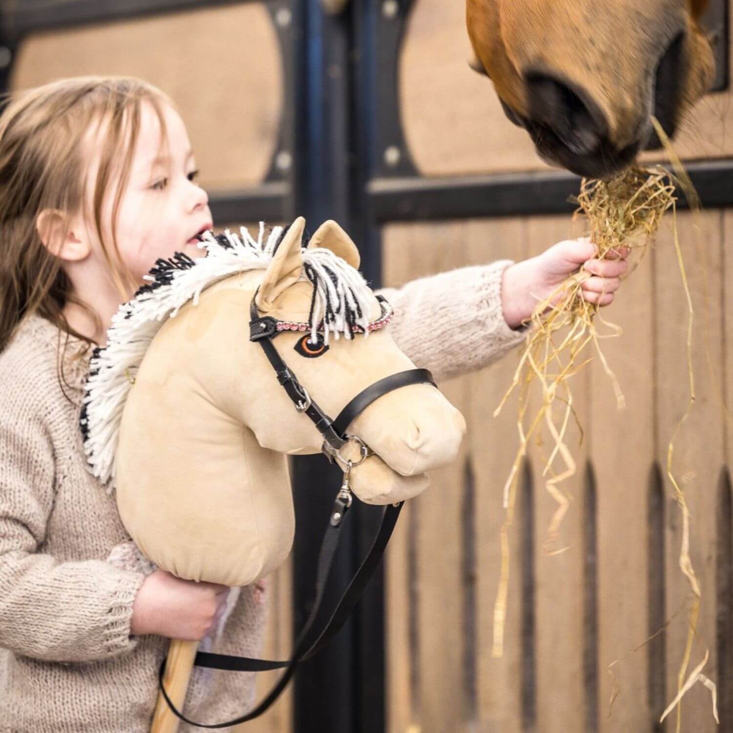 Hobby horse with bridle