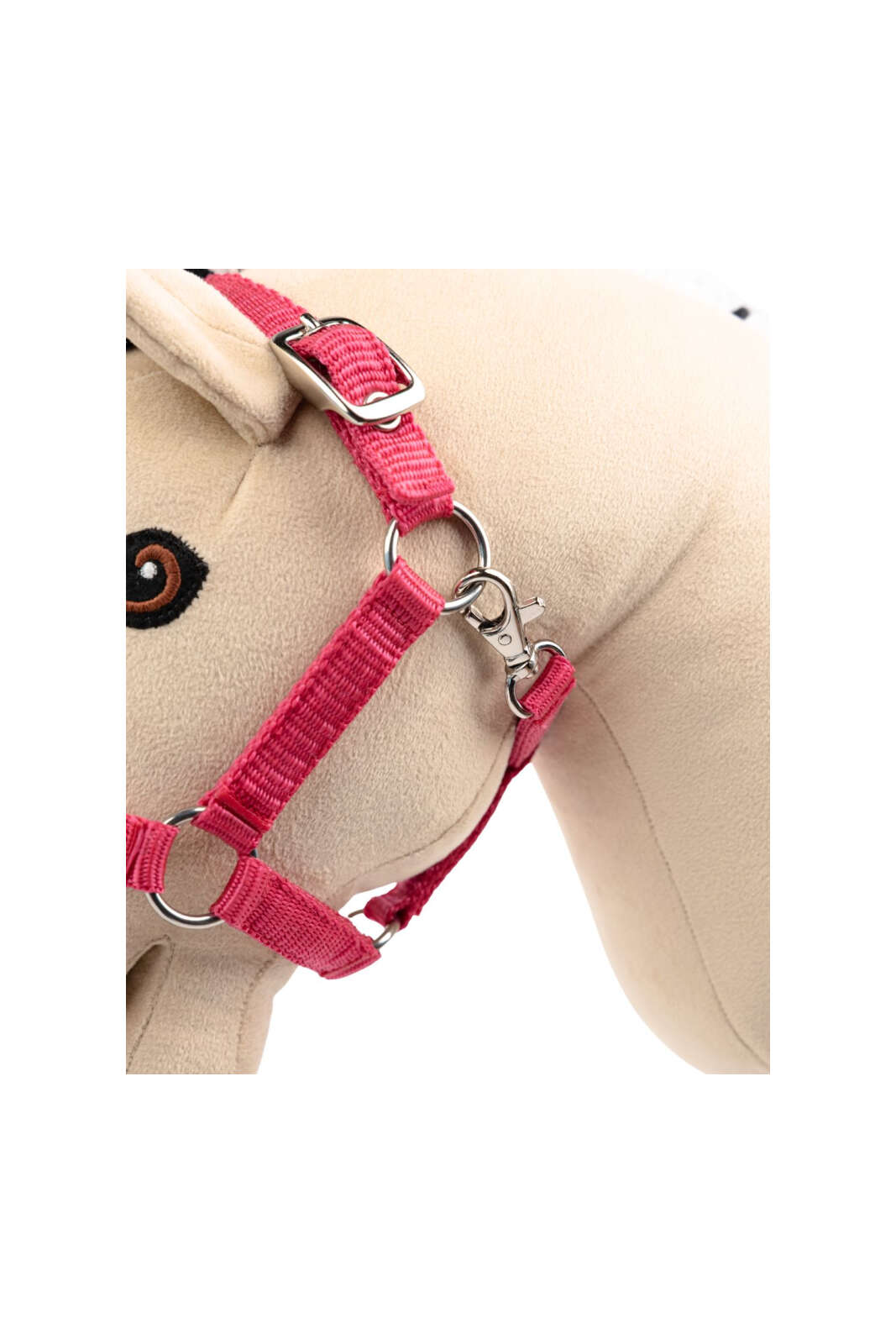 My Hobby Horse Grimma