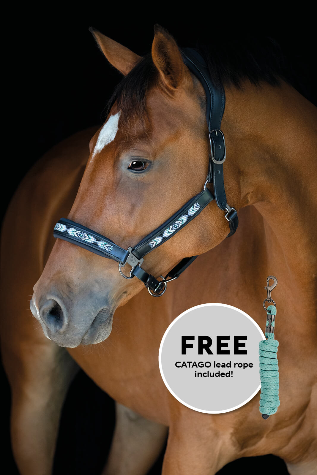 Catago Anamo Halter & Lead Rope Set, Blue Surf