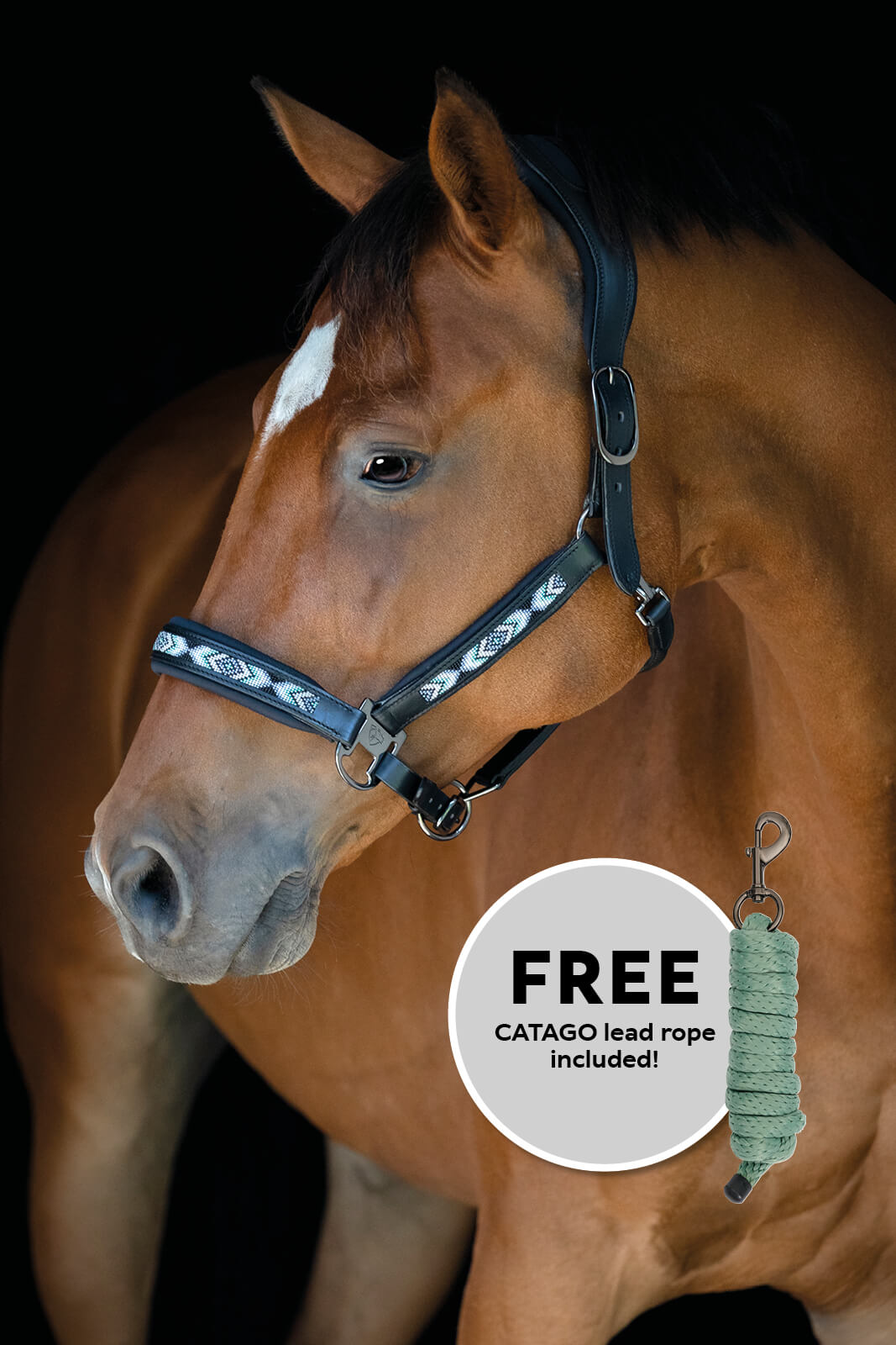 Catago Anamo Halter & Lead Rope Set, Laurel Wreath